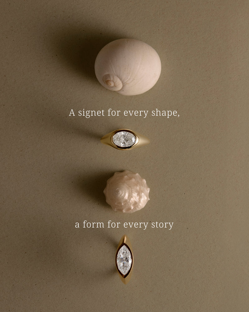 Two rings with shells on a beige background, accompanied by text.