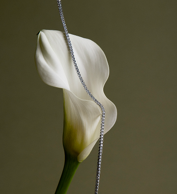 White calla lily with a necklace draped over it against a beige background